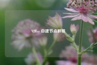 V2Ray 自建节点教程