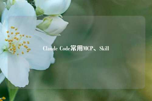 Claude Code常用MCP、Skill
